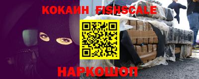 крисы Гатчина