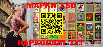 крисы Гатчина