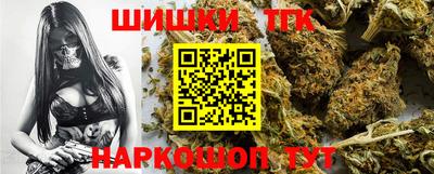 крисы Гатчина