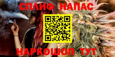 сатива Гагарин