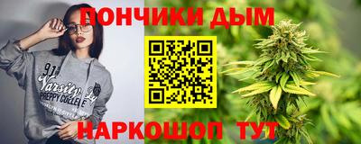крисы Гатчина