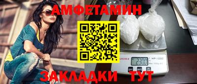 крисы Гатчина