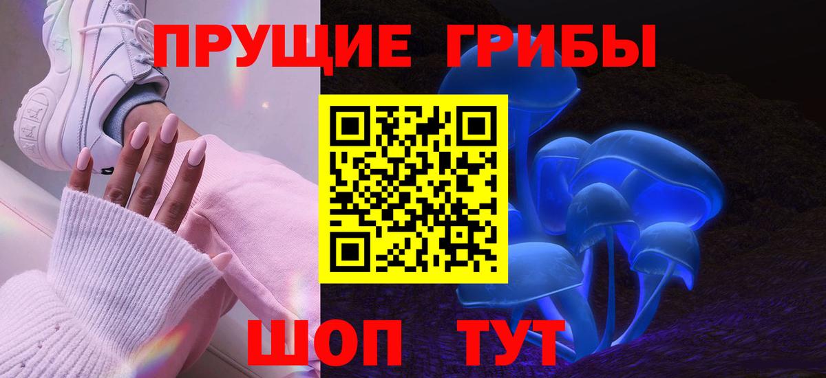 Галлюциногенные грибы Psilocybe Полевской