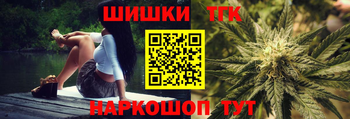 Конопля сатива Полевской